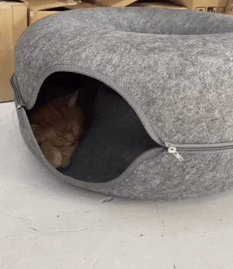 Cama Tunel Peekaboo™ para GATOS